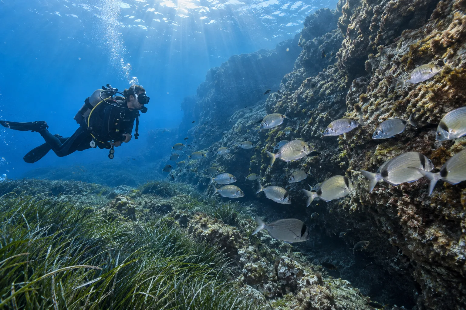 Inmersión de buceo en la Reserva Marina de El Toro e Islas Malgrats en Mallorca